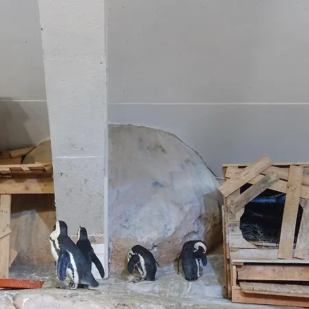 Lovely In With Wifi Сasa de vacaciones Ledinghem