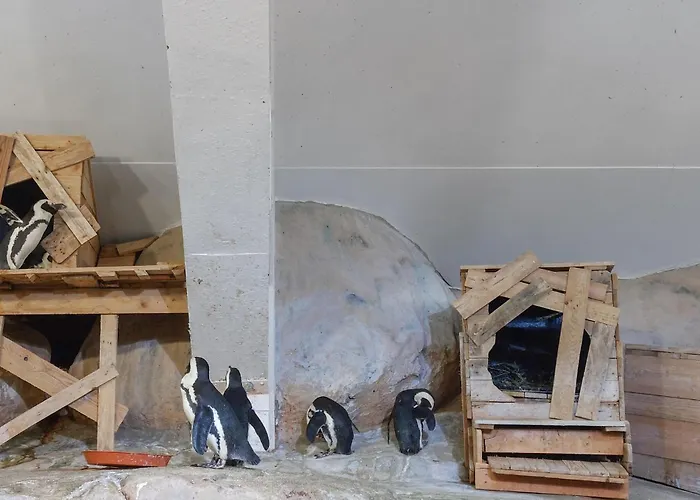 Lovely In With Wifi Semesterbostad Ledinghem